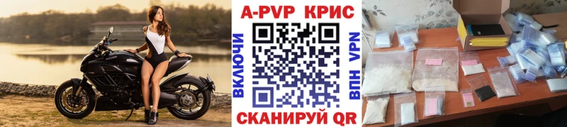 A PVP СК Ленск