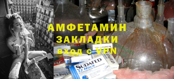 прущие грибы Няндома