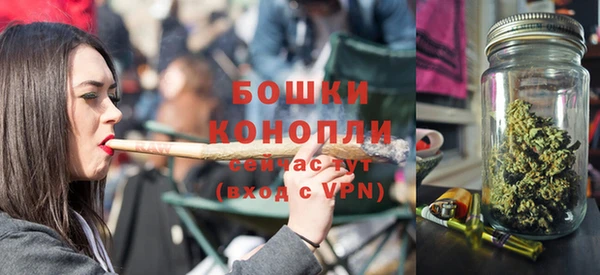 прущие грибы Няндома
