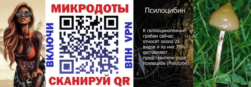 ссылка на мегу как зайти  Ленск  Псилоцибиновые грибы Magic Shrooms  цена  